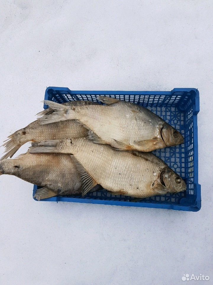 Рыба купить на Зозу.ру - фотография № 1