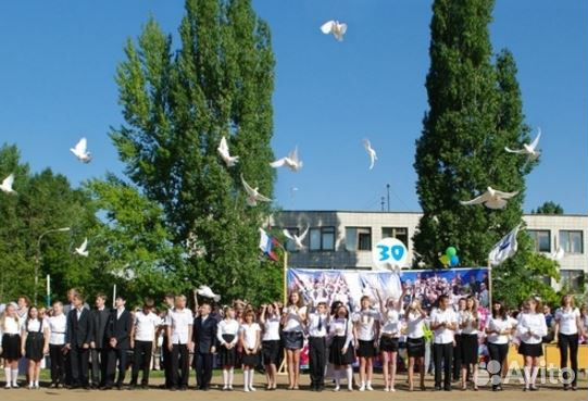 Белые спортивные голуби купить на Зозу.ру - фотография № 8