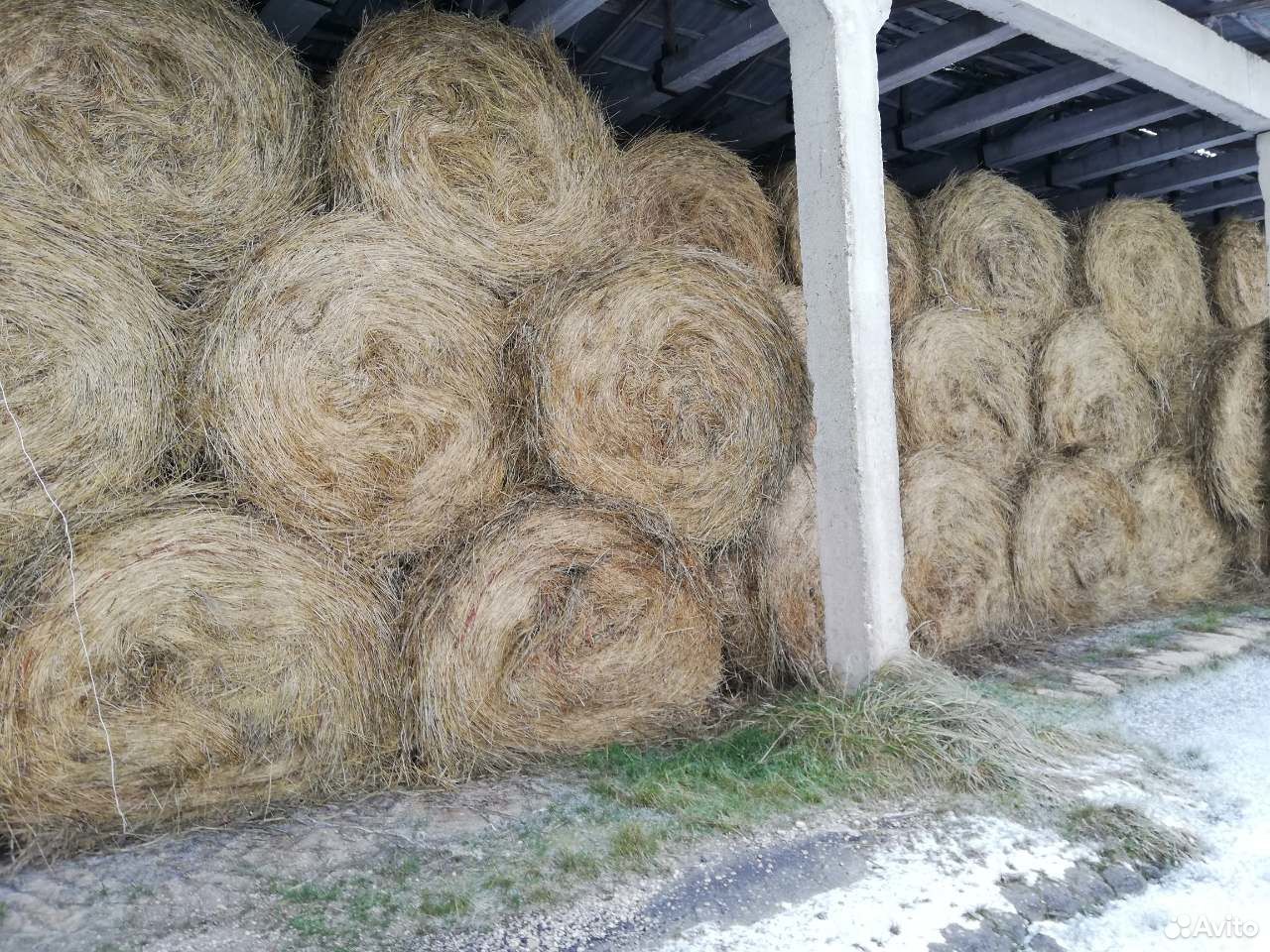 Отличное сено в рулонах. Урожай 2020 года купить на Зозу.ру - фотография № 2