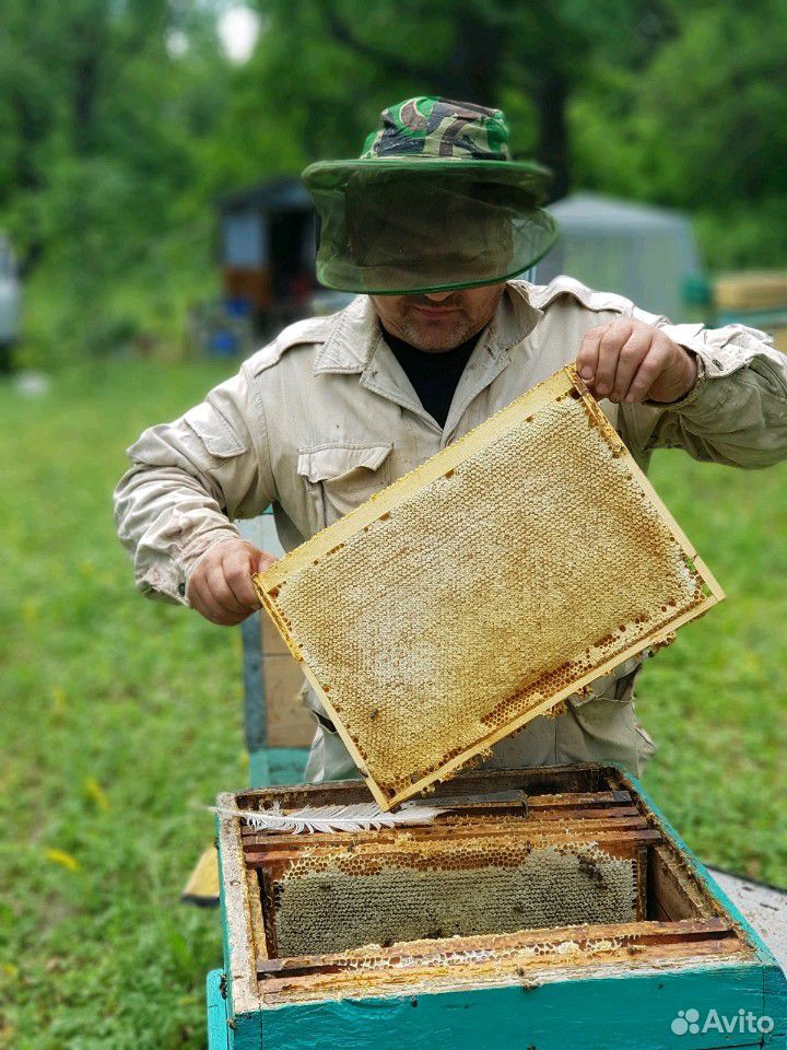 Липовый мёд купить на Зозу.ру - фотография № 3