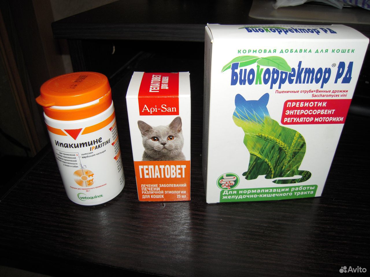 Омский форум :: (Отдам кошачьи лекарства (ипакетине, гепатовет))