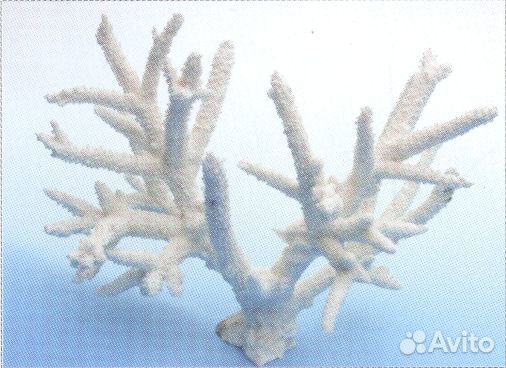 Композиции из кораллов новые купить на Зозу.ру - фотография № 5