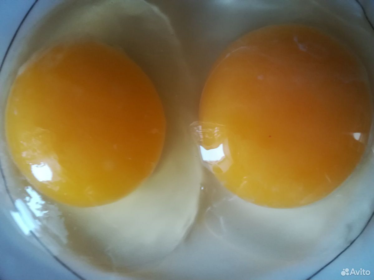 Свежие яйца от домашних курочек. Возможна доставка купить на Зозу.ру - фотография № 2