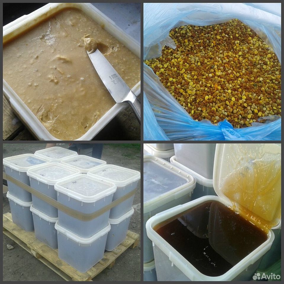 Мед и продукты пчеловодства со своей пасеки купить на Зозу.ру - фотография № 1