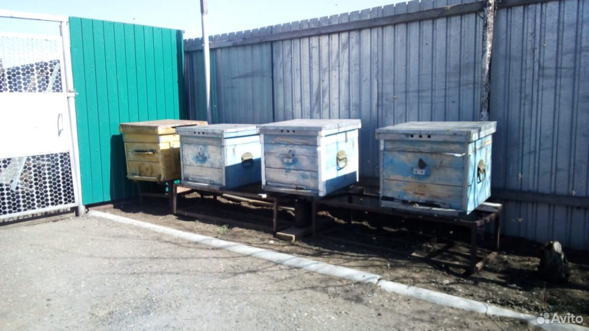 Продаются пчелиные домики купить на Зозу.ру - фотография № 1