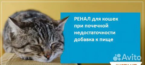 Добавка к корму для кошек купить на Зозу.ру - фотография № 2