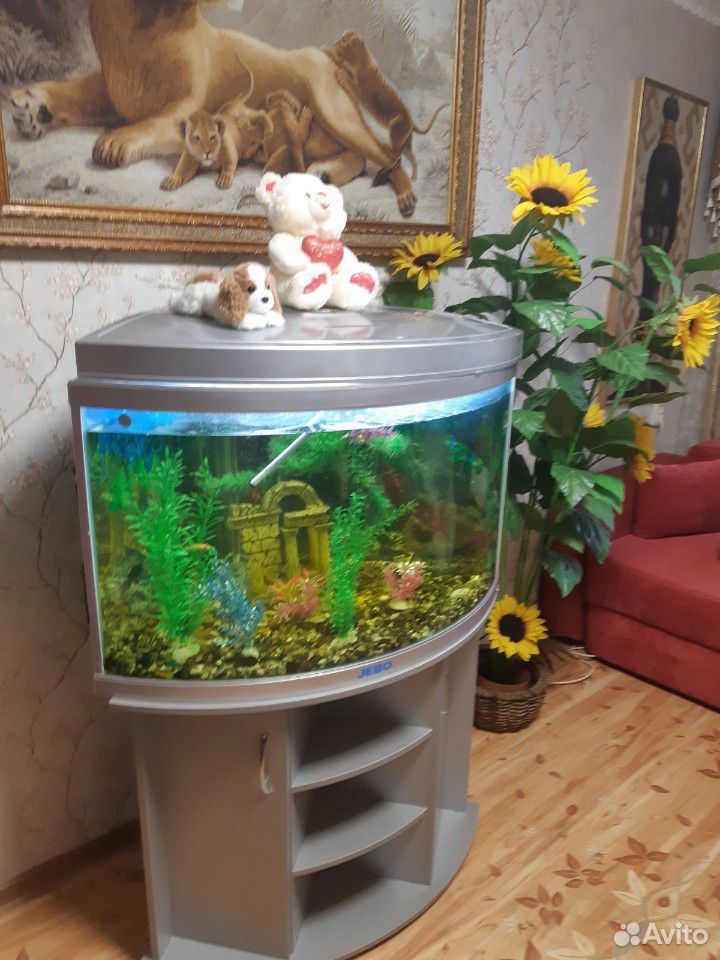 Аквариум с рыбками купить на Зозу.ру - фотография № 2