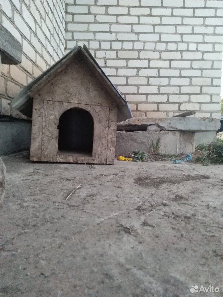 Будка для щенят или маленьких пород собак купить на Зозу.ру - фотография № 2
