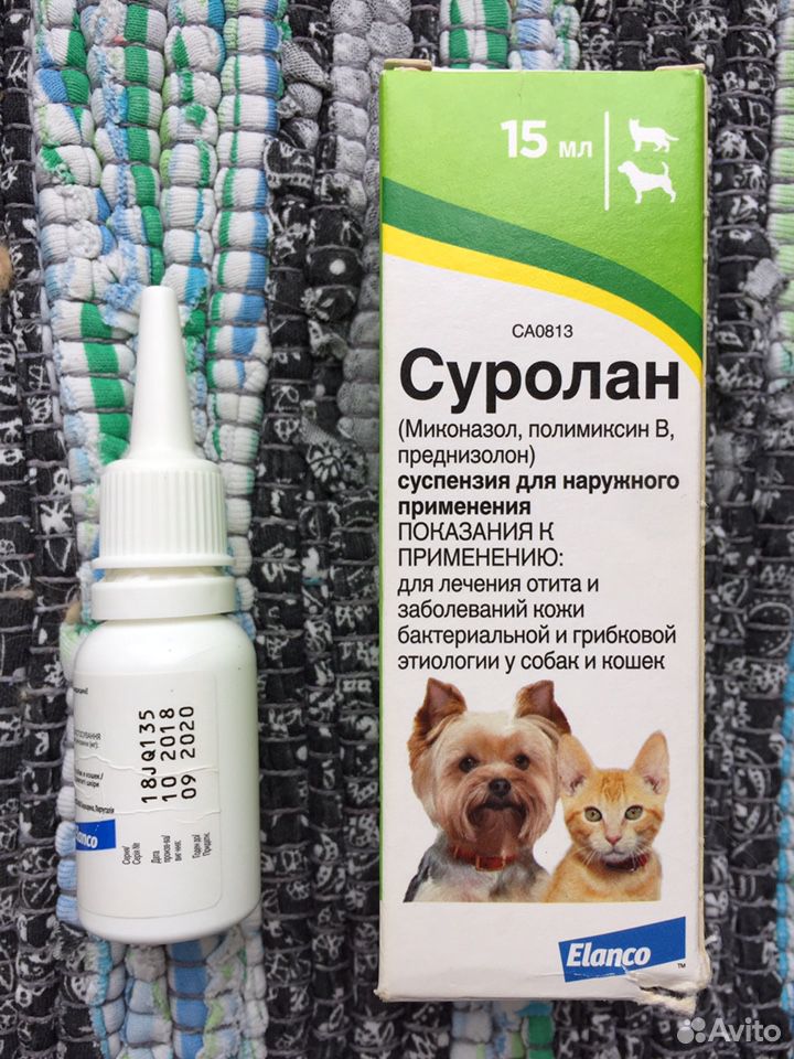 Аналог суролан для кошек. Аналог суролан для кошек