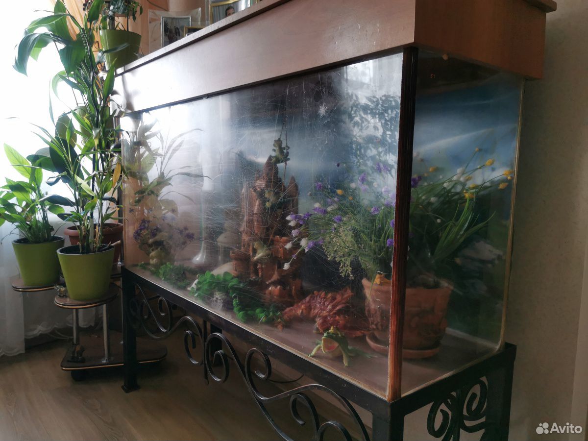 Купить Бу Аквариум Г Таганрог