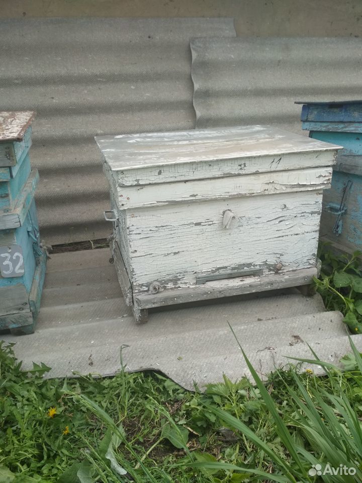 Пчеловодство. Улья-лежаки купить на Зозу.ру - фотография № 2