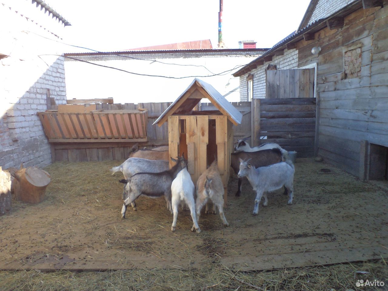 Кормушка для коз купить на Зозу.ру - фотография № 2
