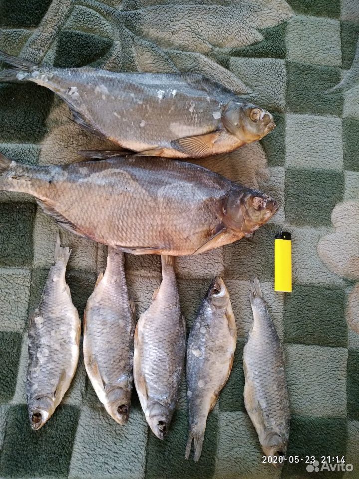 Вяленая рыба купить на Зозу.ру - фотография № 1