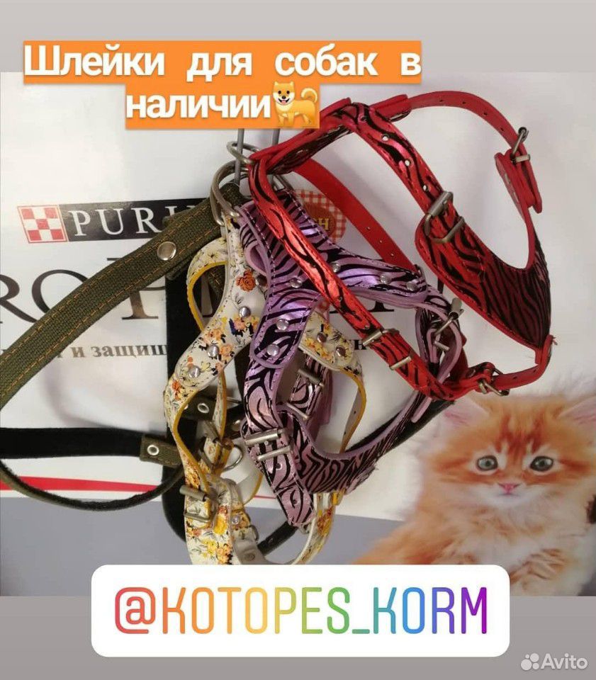 Корм для животных купить на Зозу.ру - фотография № 7