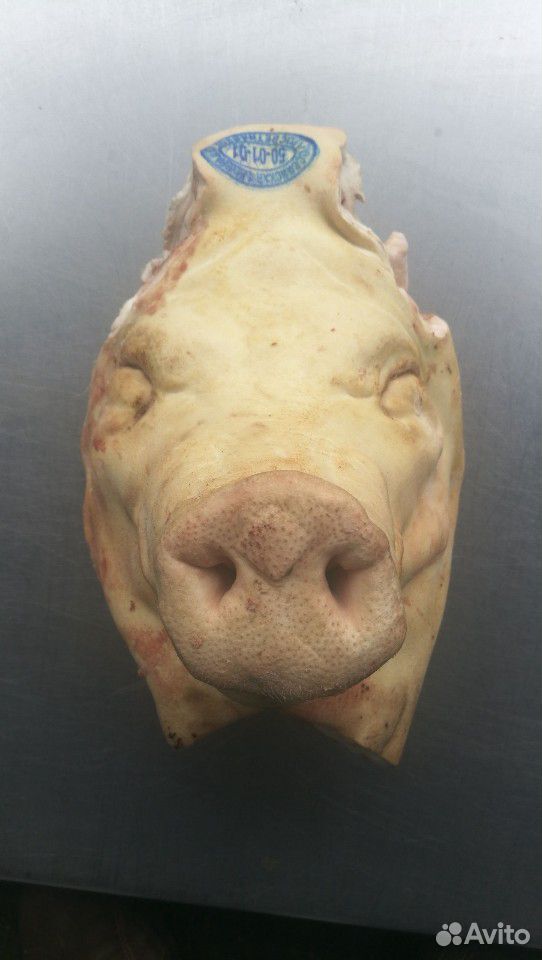 Голова свиная купить на Зозу.ру - фотография № 2