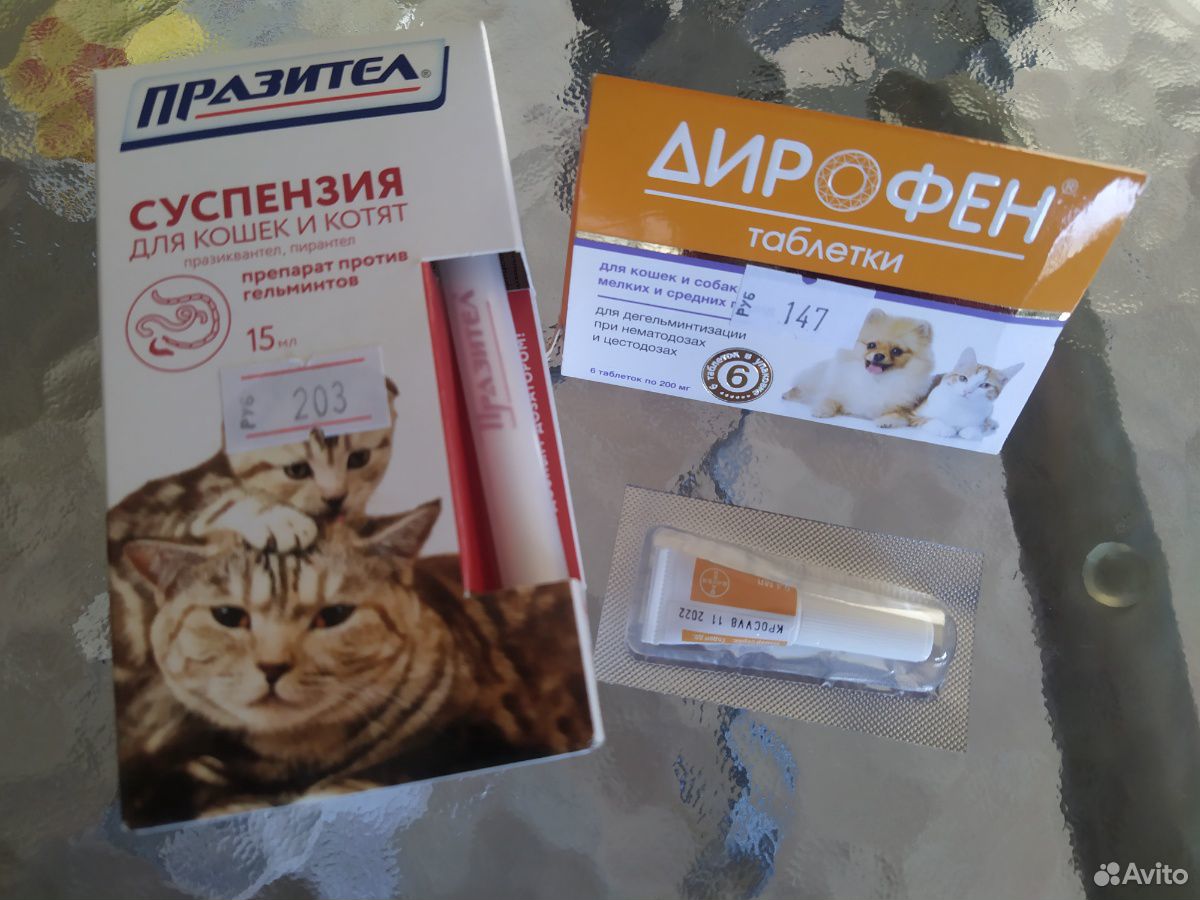Лекарства для котов или маленьких собачек купить на Зозу.ру - фотография № 1