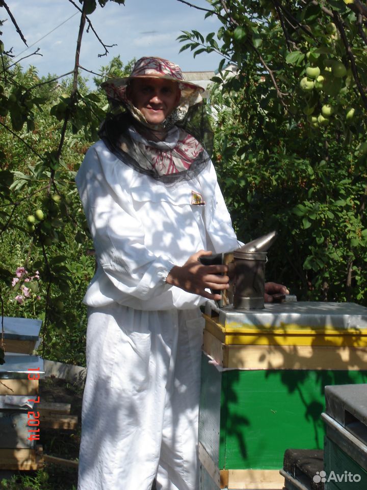 Пчелы-пасека купить на Зозу.ру - фотография № 6