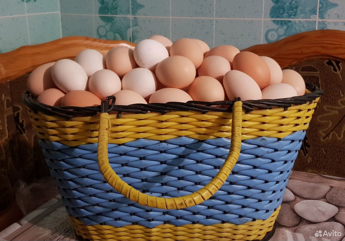 Яйцо домашнее купить на Зозу.ру - фотография № 3