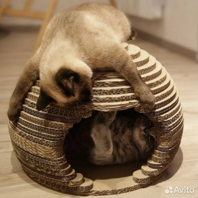 Когтеточка и домик для кота Картонная Сфера купить на Зозу.ру - фотография № 1