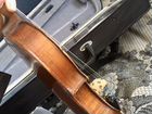 Скрипка мастеровая «целая» объявление продам