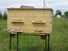 Пчелосемьи с ульями -на 24 рамки -на 12 рамок