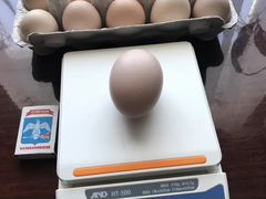 Инкубационное яйцо Ливенской породы кур