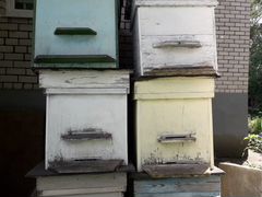Пчелиные домики