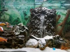 Коралловая крошка, песок 0-0.5мм 20кг