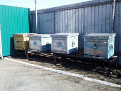 Продаются пчелиные домики