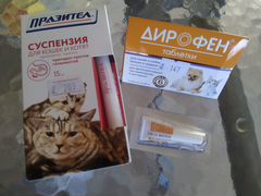 Лекарства для котов или маленьких собачек