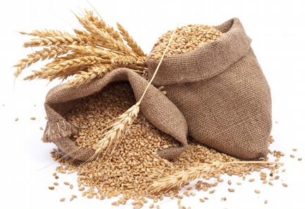 Зерно, Пшеница