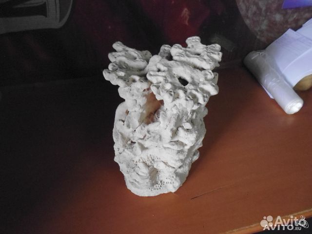 Продам искусственный коралл купить на Зозу.ру - фотография № 1
