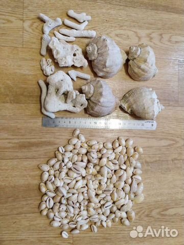 Набор ракушек для аквариума