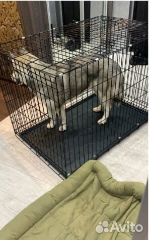 Клетки для собак и кошек в наличии