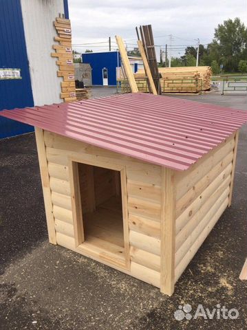 Собачья будка