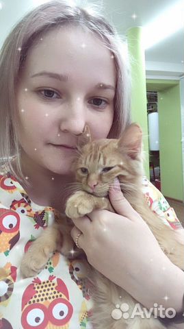 Ветеринарный врач на дом