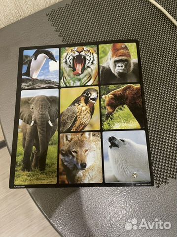 Энциклопедия в мире дикой природы