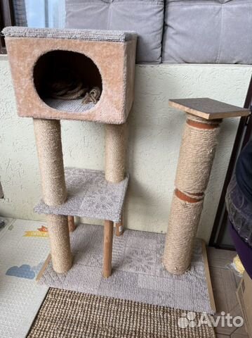 Когтеточка