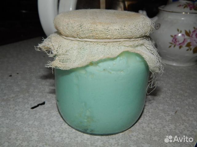 Кефирный грибок Кефирный грибок