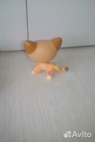 Петшоп. LPS Петшоп. LPS