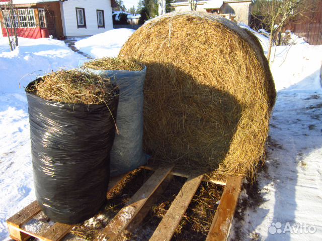 Сено в рулонах под навесом. Мешки для тюков сена для лошадей. Хранения сена в сенных Сараях. Фото сено в рулонах под навесом. Купить сено в спб
