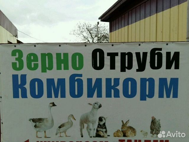Овёс купить на Зозу.ру - фотография № 6