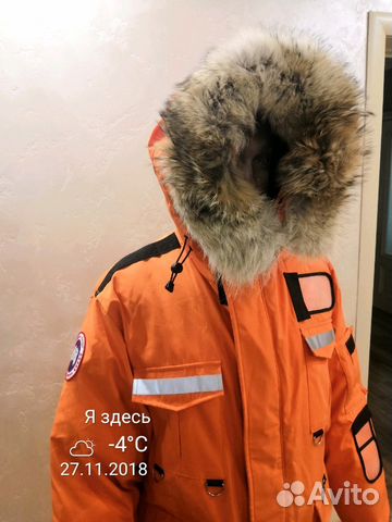 Canada goose Resolute Canada goose Resolute