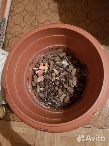 Горшок доя цветов