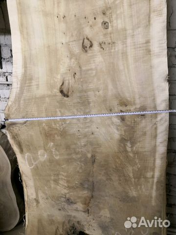 Слэб капового тополя Слэб капового тополя