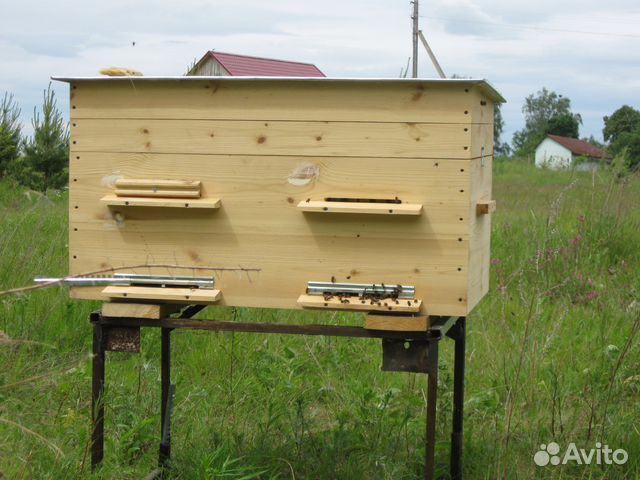 Пчелосемьи с ульями -на 24 рамки -на 12 рамок купить на Зозу.ру - фотография № 1