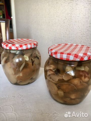 Грибы Грибы