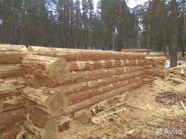 Срубы домов и бань Срубы домов и бань