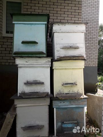 Пчелиные домики купить на Зозу.ру - фотография № 1