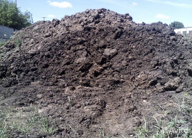 Навоз перегнивший